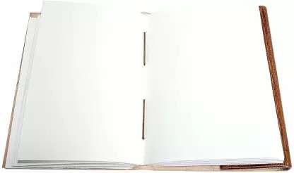 Diary - Image 3